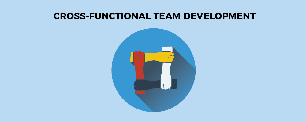 Cross functional team development